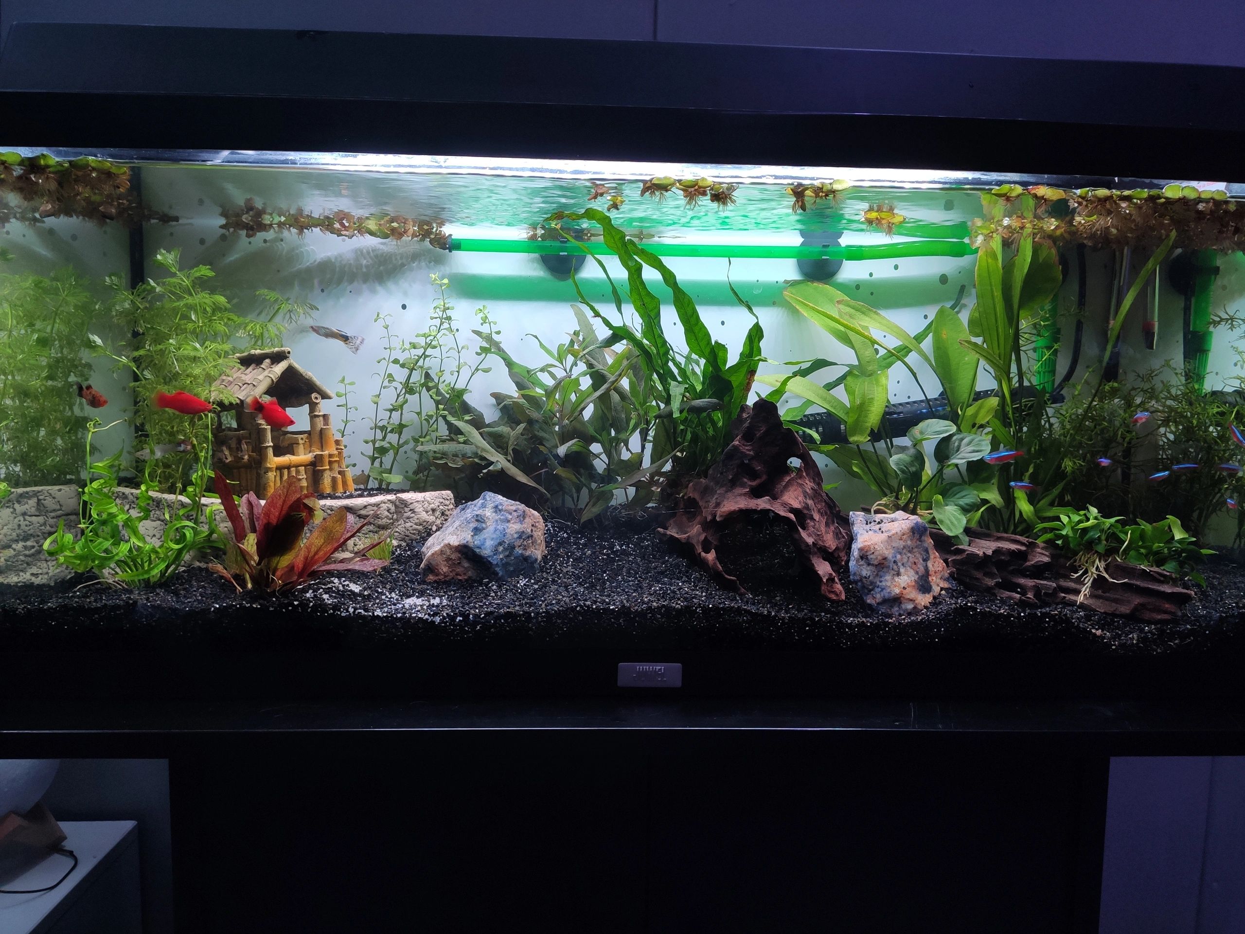 2 x RGB led strip + 1 enkele kleur strip: 50 - 70 cm complete set