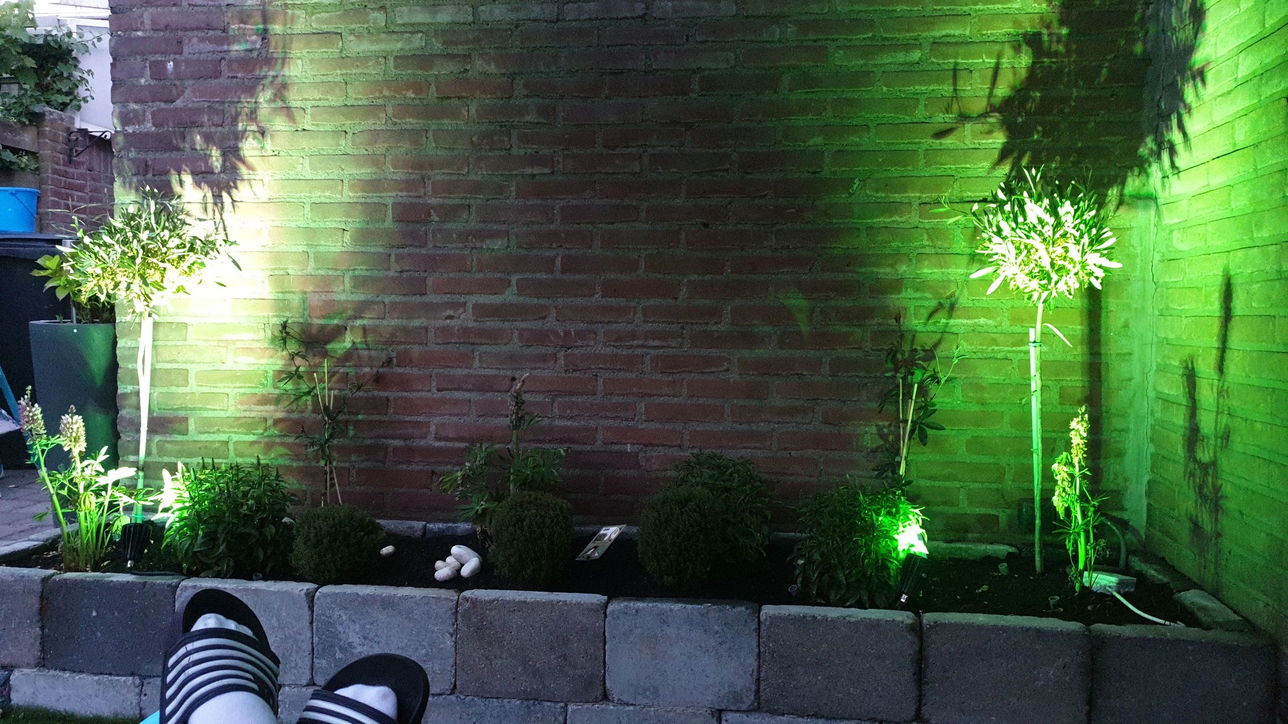 Milight Wifi LED Tuinspot met RGBWW kleuren - 6 watt