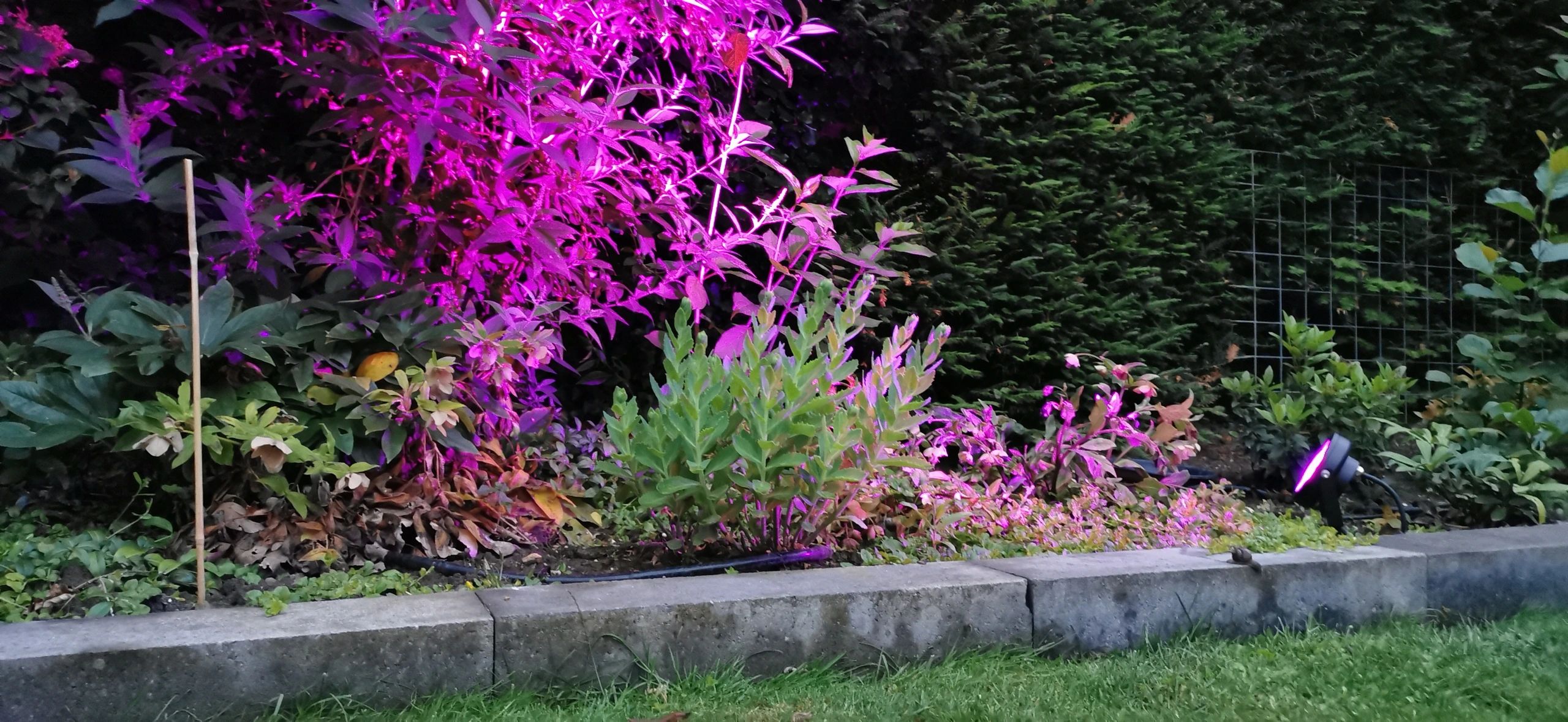 Zigbee LED Tuinspot met RGBWW kleuren 12 watt