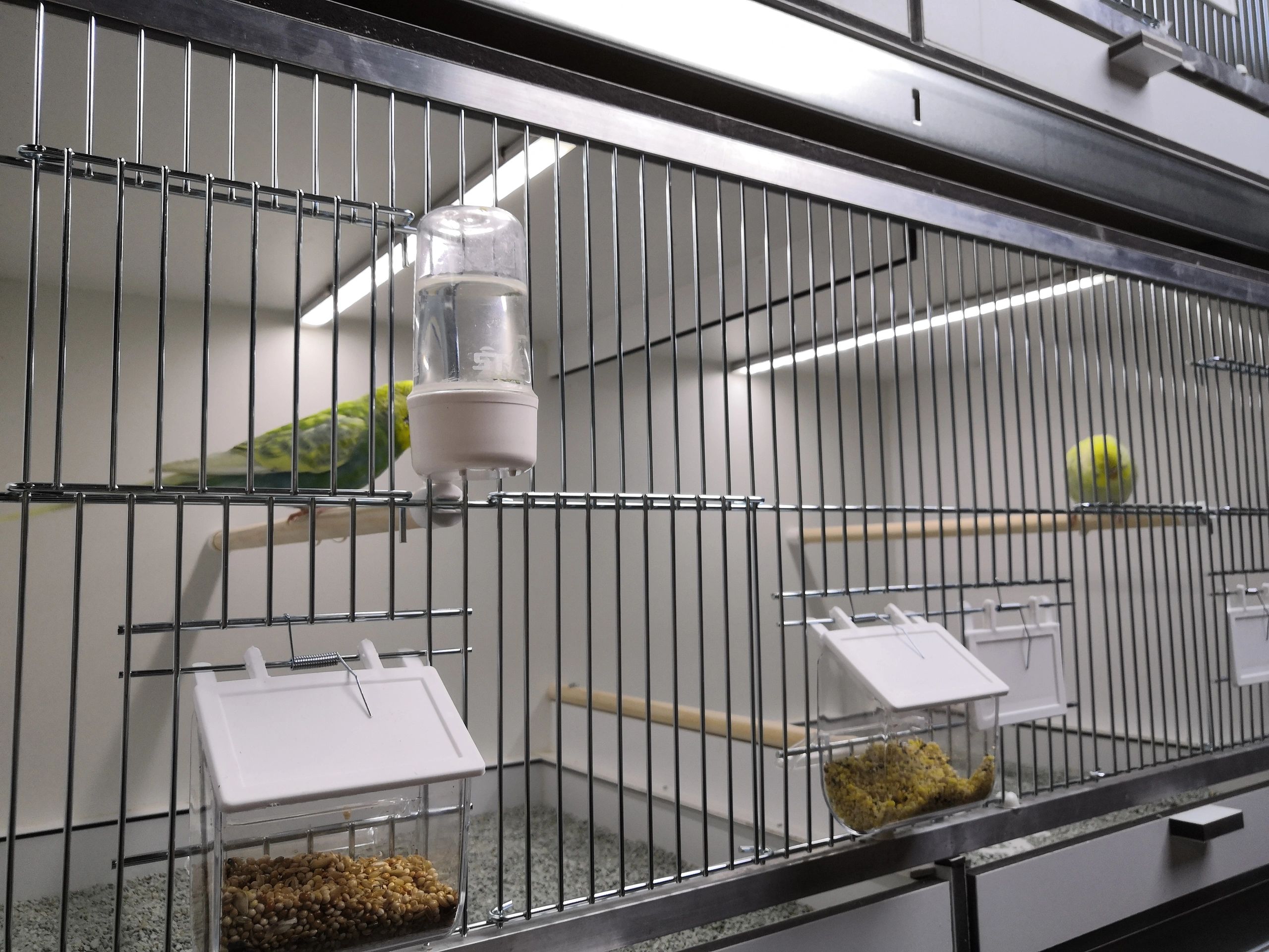 TC420 LED time controller