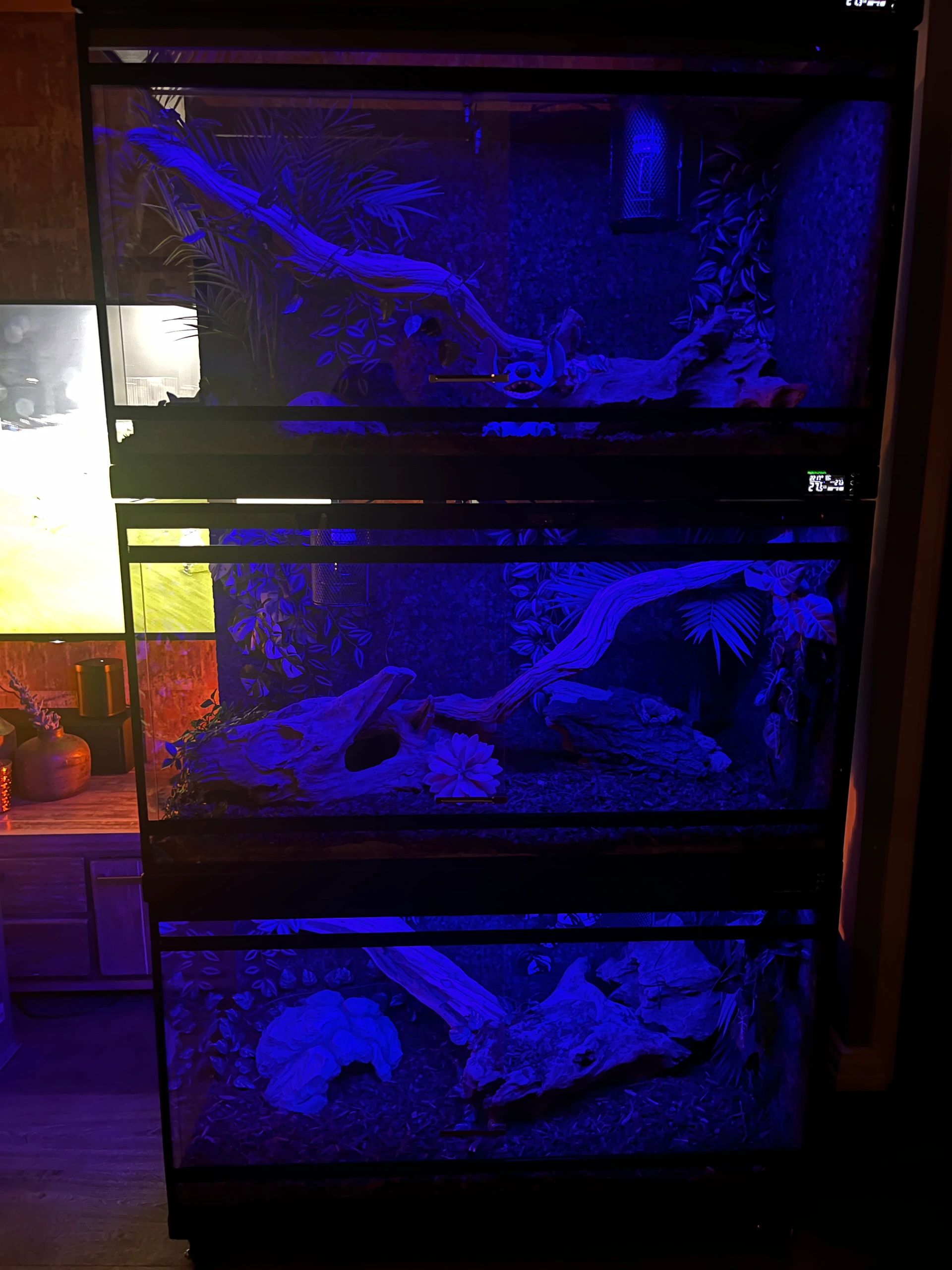 RGBWW led strip splitter kabel in 3 delen