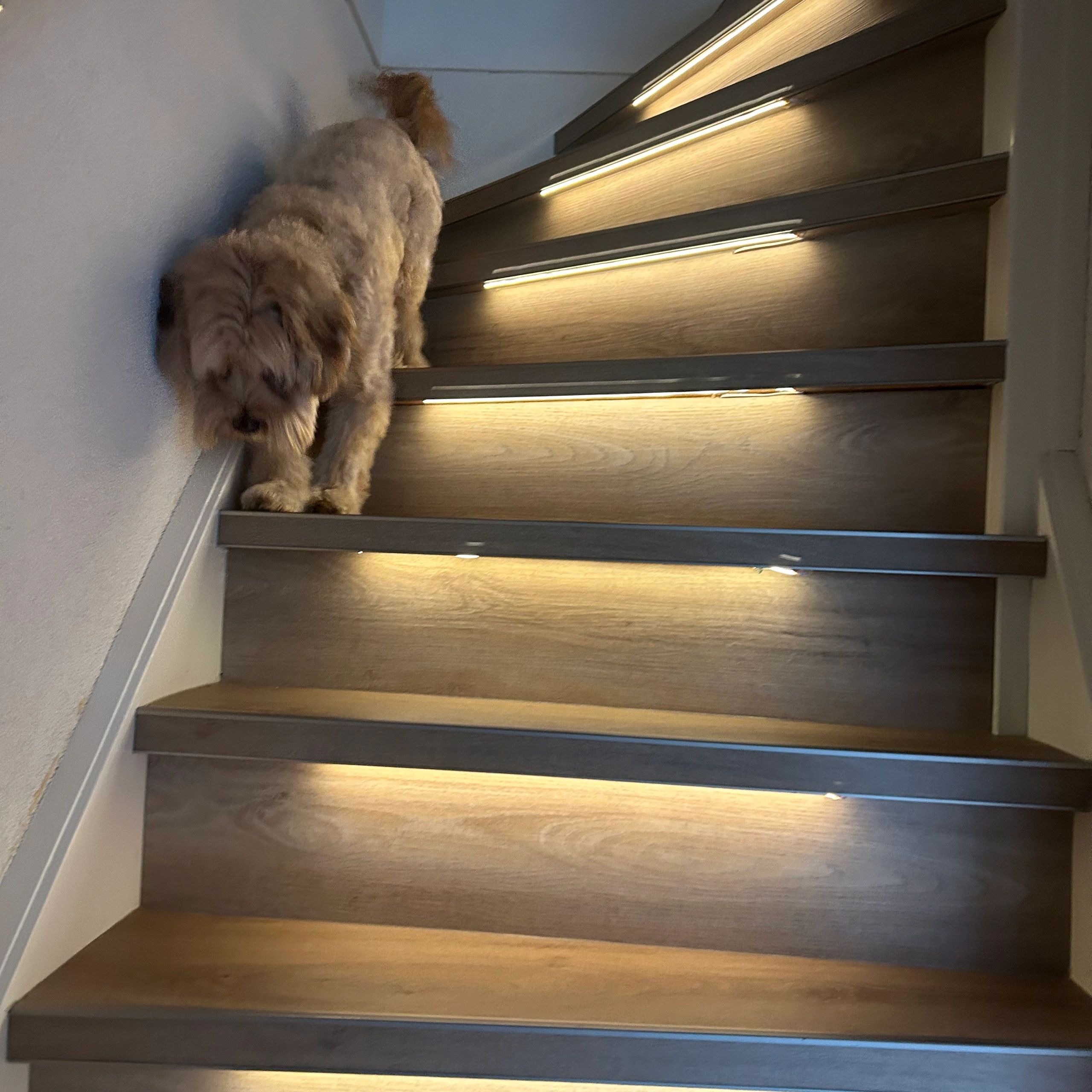 Dynamische trapverlichting set Premium 50 cm
