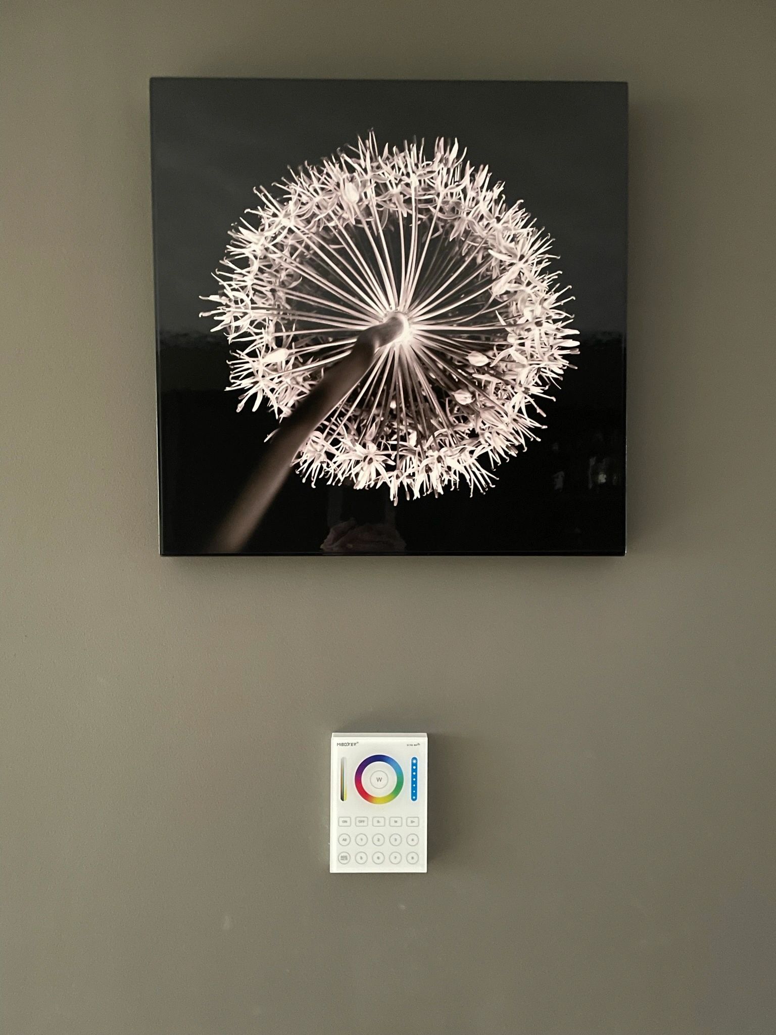 Touch wandpaneel draadloos 8-zone voor alle kleuren