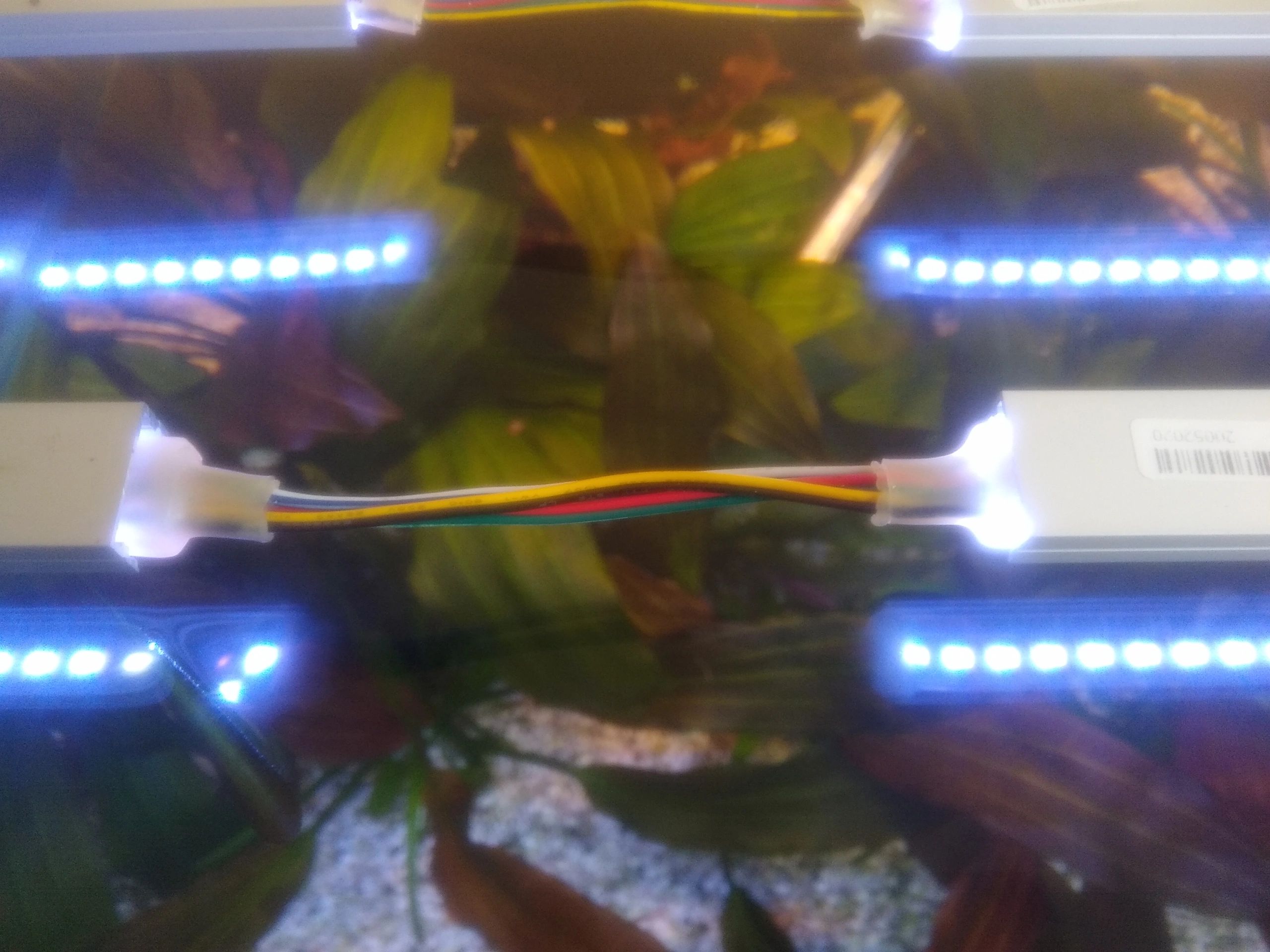 4 meter RGBWW led strip Pro met 384 leds - losse strip