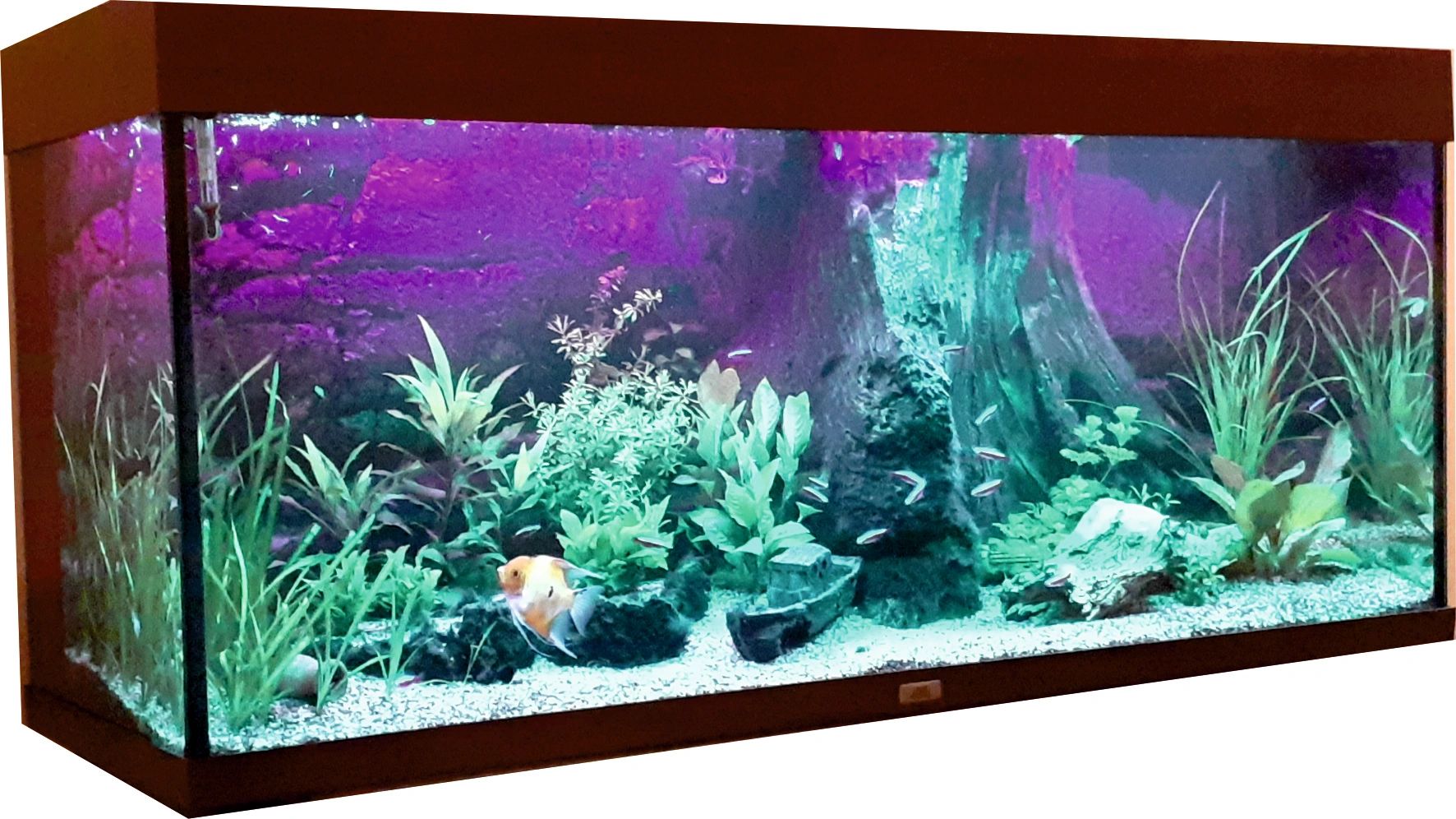 2 x RGB led strip: 200 - 250 cm complete set