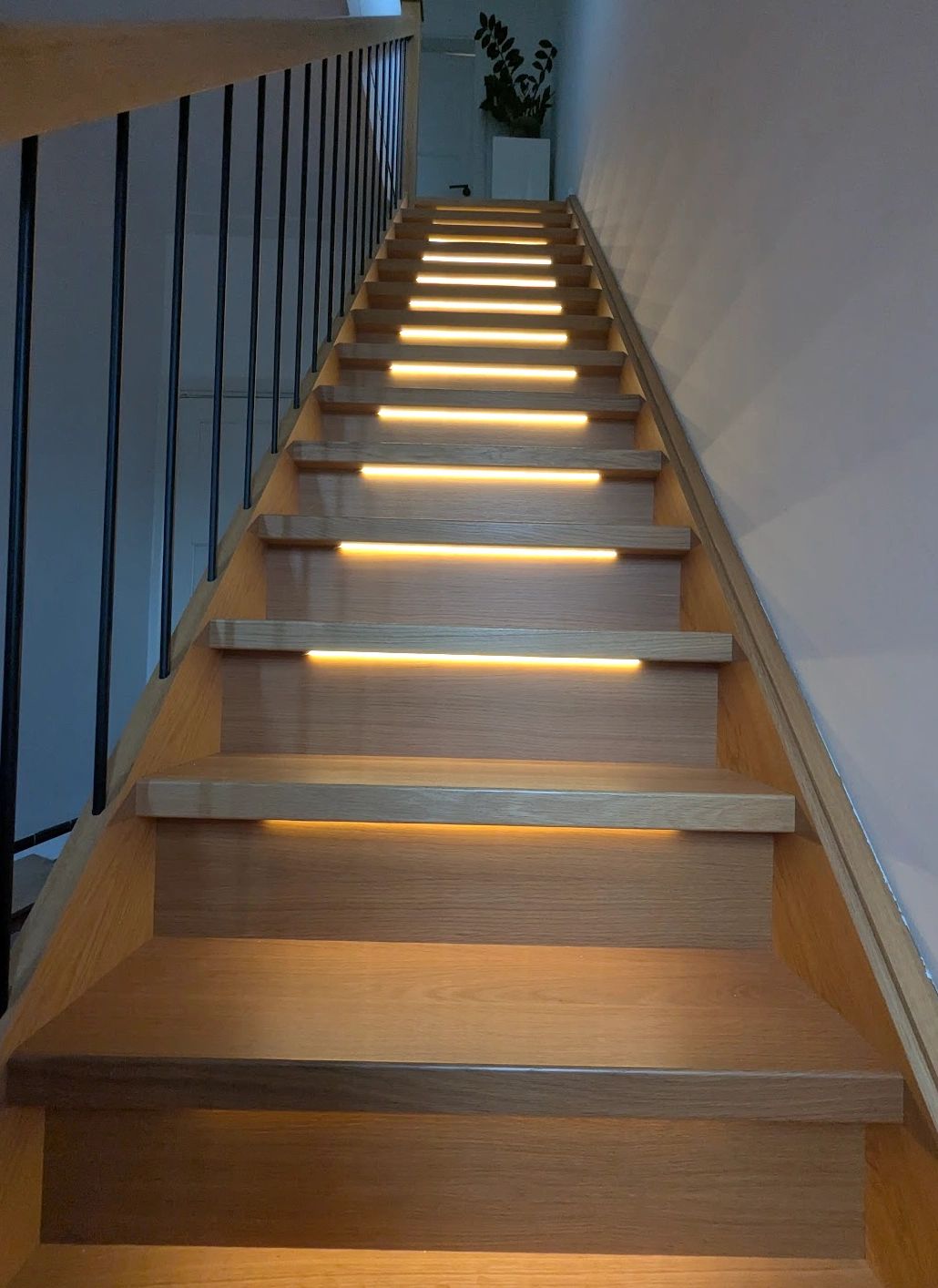 Dynamische trapverlichting set Premium 50 cm
