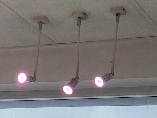 Milight led spot RGBWW 4 Watt MR16 fitting 12V