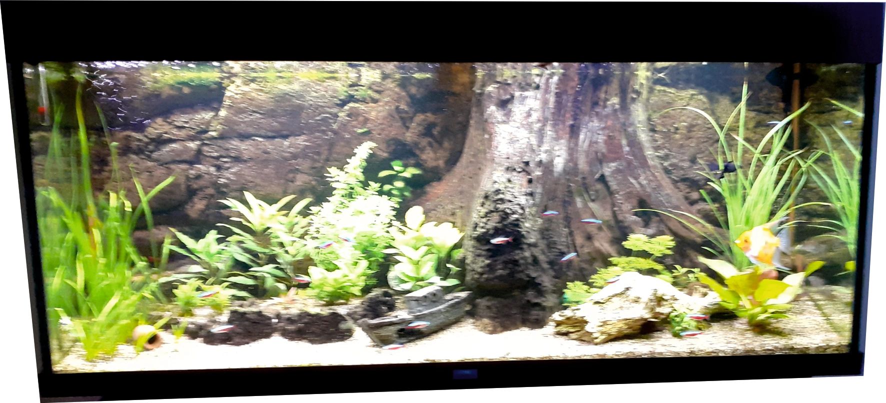 2 x RGB led strip: 200 - 250 cm complete set